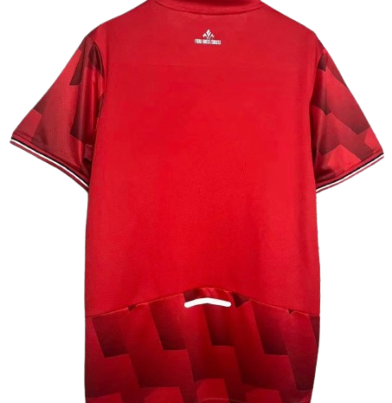 Camiseta Lille 2025/26